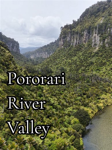 If you’ve been following for a while… you’ll know I’ve got a bit of an obsession with nikau palms. 🌴 So the Pororari River Valley on the West Coast is basically paradise for someone like me. Vertical limestone cliffs, crystal-clear water, and nikau palms everywhere you look. It feels like stepping into another world. #WestCoastNZ #PororariRiver #NikauPalms #NewZealandNature #NZAdventure