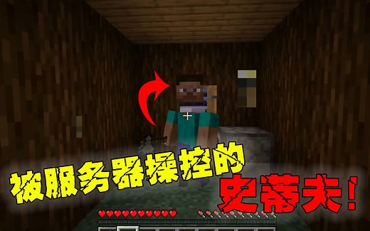 我的世界：被服务器故障操控的奇怪史蒂夫！