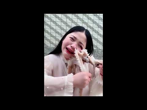 Octopus sucks onto vlogger's face in Livestream China || GoViral