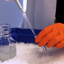 Video: Nuclei Isolation from Adult Mouse Kidney for Single-Nucleus RNA-Sequencing