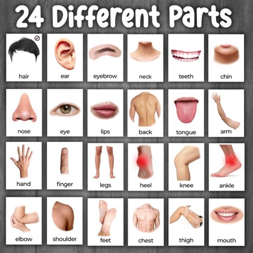 Boy Parts in English vocabulary #viral #humor #tiktokindia #tiktok #fypage #fyp #foryou #funny #love #duet #fypシ #trending #fy #song #viral #reels