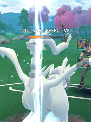 Zekrom and Reshiram Strategies for Master League Battles