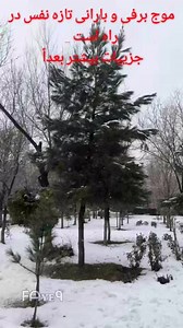 🤍🌨️🌧️☁️🌥️ | هواشناسي افغانستان Afghanistan weather