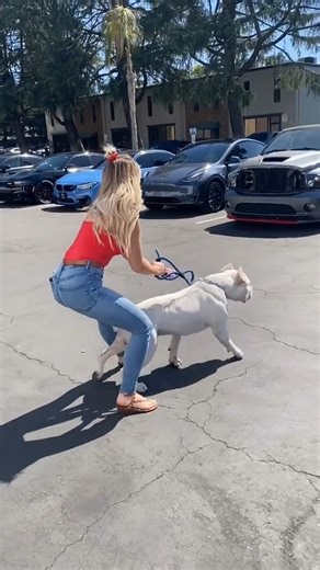 Omg 😳 #puppy #dog | ONLY Animals