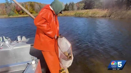 Fall trout stocking gives Vermonters more chances to fish during fall and winter months