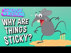 Why Are Things Sticky? | COLOSSAL QUESTIONS