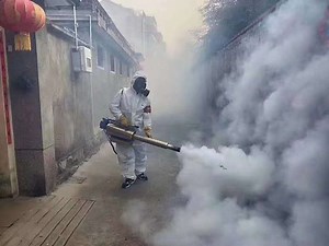 [Hot Item] Gasoline Thermal Fogger Spray Machine Smoke Fogging Machine