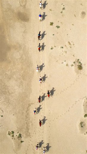 Halina | Horse riding holidays and equestrian escapes on Instagram: "India: Beauty and wilderness of Kutch on Marwari horses Present to yourself a unique horse riding holidays. Experience the once in a lifetime opportunity to ride on one of the world’s largest salt deserts, the Great Rann of Kutch, measuring 7500 sq.kms. visiting Tera Fort and Roha Fort, Fossil park and White Desert. Highlights: • 2 nights accommodation in Heritage Hotels (Castle / Palace / Ancient forts) • Visits to traditional