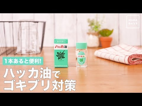 1本あると便利!ハッカ油でゴキブリ対策