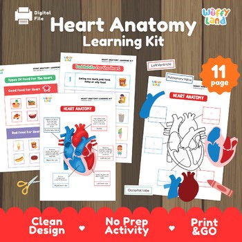 Heart Anatomy Learning Kit - Human Body Worksheet Labeling Activity Science