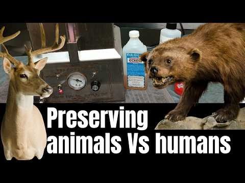 Preserving dead animals Vs humans