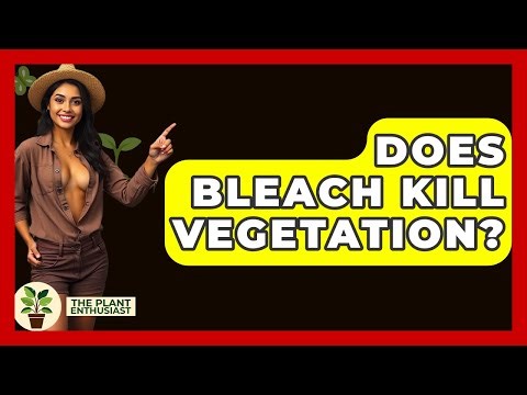 Does Bleach Kill Vegetation? - The Plant Enthusiast
