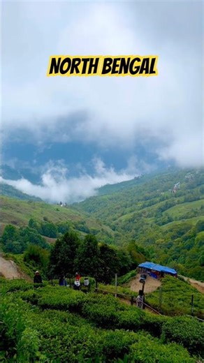 Darjeeling Looks Completely Different in 4K #explore #mountains #beautiful