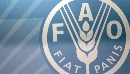 "فاو" تزف بشرى للعالم.. أسعار الغذاء تتراجع