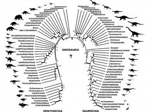 The early evolution of Dinosaurs