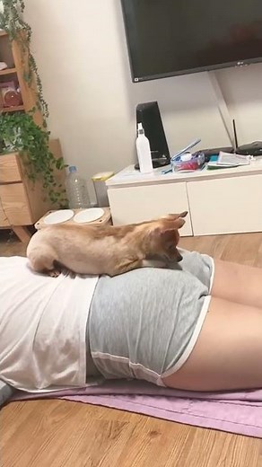 강아지한테 방구먹이는 동영상 (찐방구)/김여름 /a video of farting to a puppy