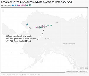 Spruce trees have arrived in the Arctic a century earlier than expected. Here's why