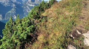 2.6K views · 102 reactions | Die Sesselbahnen am Fronalpstock und Klingenstock sind noch geschlossen. Das ist der ideale Zeitpunkt für eine Wanderung auf dem Gratweg. Viel Spass! | Stoos | Facebook