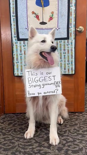 Hey sewing enthusiasts 🧵 This is the sewing GIVEAWAY everyone’s talking about! 🤪 After 50 years in the sewing world, we wanted to give back to the amazing community that’s made Sewing Machines Plus what it is today. So… introducing our BIGGEST GIVEAWAY EVER!! A $4,200 sewing bundle including the Pfaff Quilt Expression 720 Special Edition loads of sewing goodies! Yes, this is a 100% genuine contest designed to grow our already amazing sewing machines plus community and brand. ✅ Winner announced