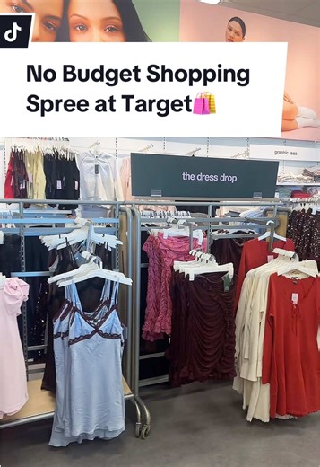 Another no budget shopping spree at Target😍 #target #targetfinds #nobudgetshoppingspree #comeshopwithme #fyp @target