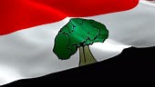 Oromia flag. National 3d Oromia flag waving seamless loop animation....