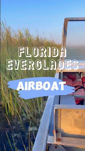 Best AIRBOAT RIDE POV 🐊| Florida Everglades National Park, USA | Watch till the end for a surprise!