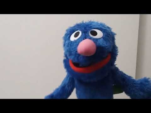 Grover Muppet Test