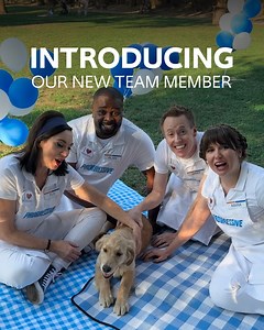 Big news: We’ve expanded our team! Our furriest member is ready to help spread the word about getting a pet insurance #PAWlicy through Progressive! | Progressive