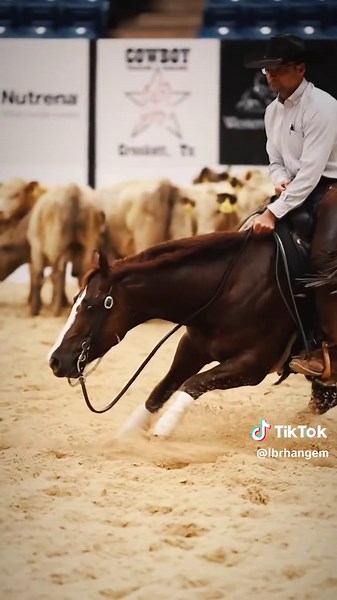 The future is here. #LBRHangem #OUTCROSSoftheFUTURE