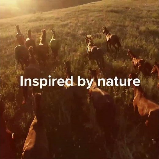 Trex Composite Decking in Saddle