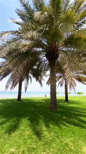 Dareen Beach Jubail: Scenic Coastal Spot in Jubail