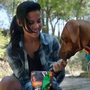 1.9M views · 679 reactions | What are you filling your pets with? Love is raw. | Instinct | Facebook