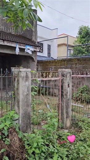 #1994LipaCityMassacre #viralpost2025 #CreditsToTheRightfulOwner #follower #everyoneシ゚ #highlight The house from the 1994 "Arandia" massacre is located in the City Park Subdivision in Lipa, Batangas. It is known for being the site of a brutal triple murder that shocked the Philippines. The crime and the property On April 9, 1994, Helen Arandia and her two young daughters were murdered in their home by Elmer Palicpic, a jealous acquaintance who had been denied a loan. The crime was the subject of 