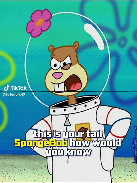 Memorable SpongeBob Cartoon Moments Explained