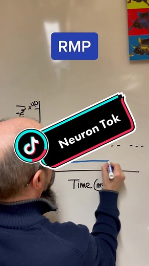 Neuron Action #neuroscience #neuron #biology #nursesoftiktok #pt #ot #premed