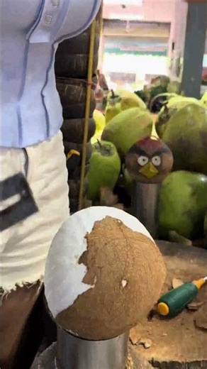 Immersive coconut opening brings you a different sound experience