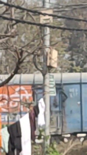 morning train timing 10:55