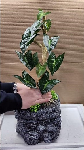 Repto water dripping tree