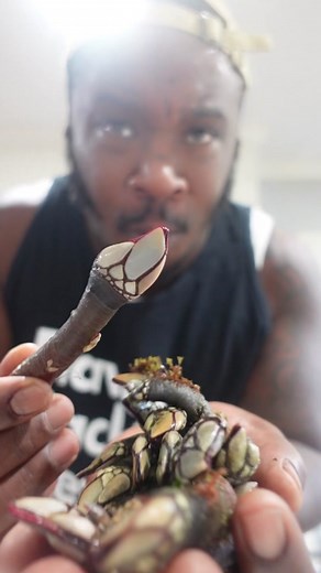 Exploring Gooseneck Barnacles: Are They Really Worth the Hype?