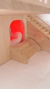 Hedgehog mum taking her baby🥰 | Hedgehog Freak