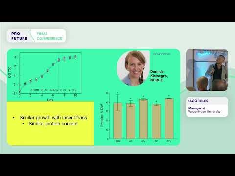 How can we improve the cultivation of microalgae?