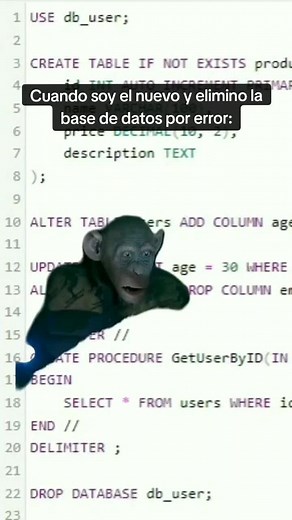 ¡Oh No! Meme SQL: La Base de Datos Borracha