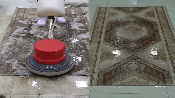 Mastering the Science of Cleaning Muddy Rugs and Carpets