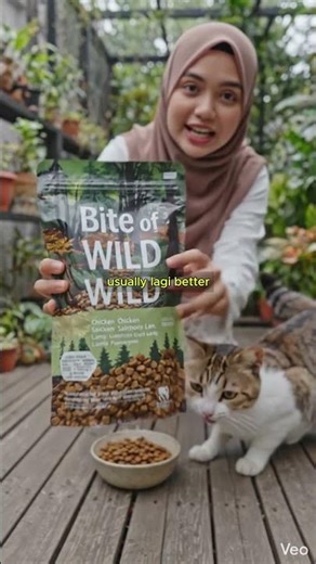 Dulu aku ingat semua makanan kucing sama je…rupanya banyak yang basically junk food #makanankucing