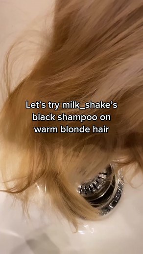 Icy Blonde Hair Transformation with Black Shampoo | Before and After