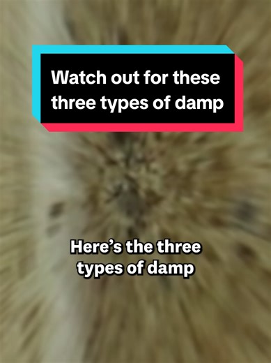 Understanding the Three Types of Damp in Homes