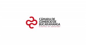 Cámara de Comercio de Bucaramanga - Introducción RUP
