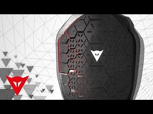 Dainese FLEXAGON Backprotector