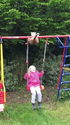 Aussie Kids & Grumpy Cats: The Ultimate Fail! 😂 #shorts #fails