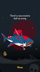 Why the whale shark is the most dangerous sea creature alive #AnimalFacts #whaleshark 🇺🇸